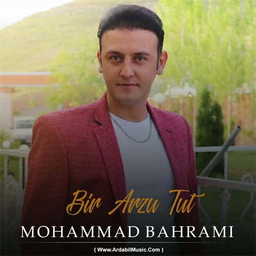 محمد بهرامی بیر آرزو توت